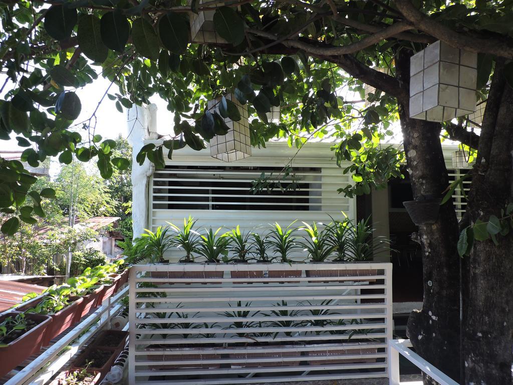 Orange Mangrove Pension House By Sms Hospitality Puerto Princesa Exteriör bild
